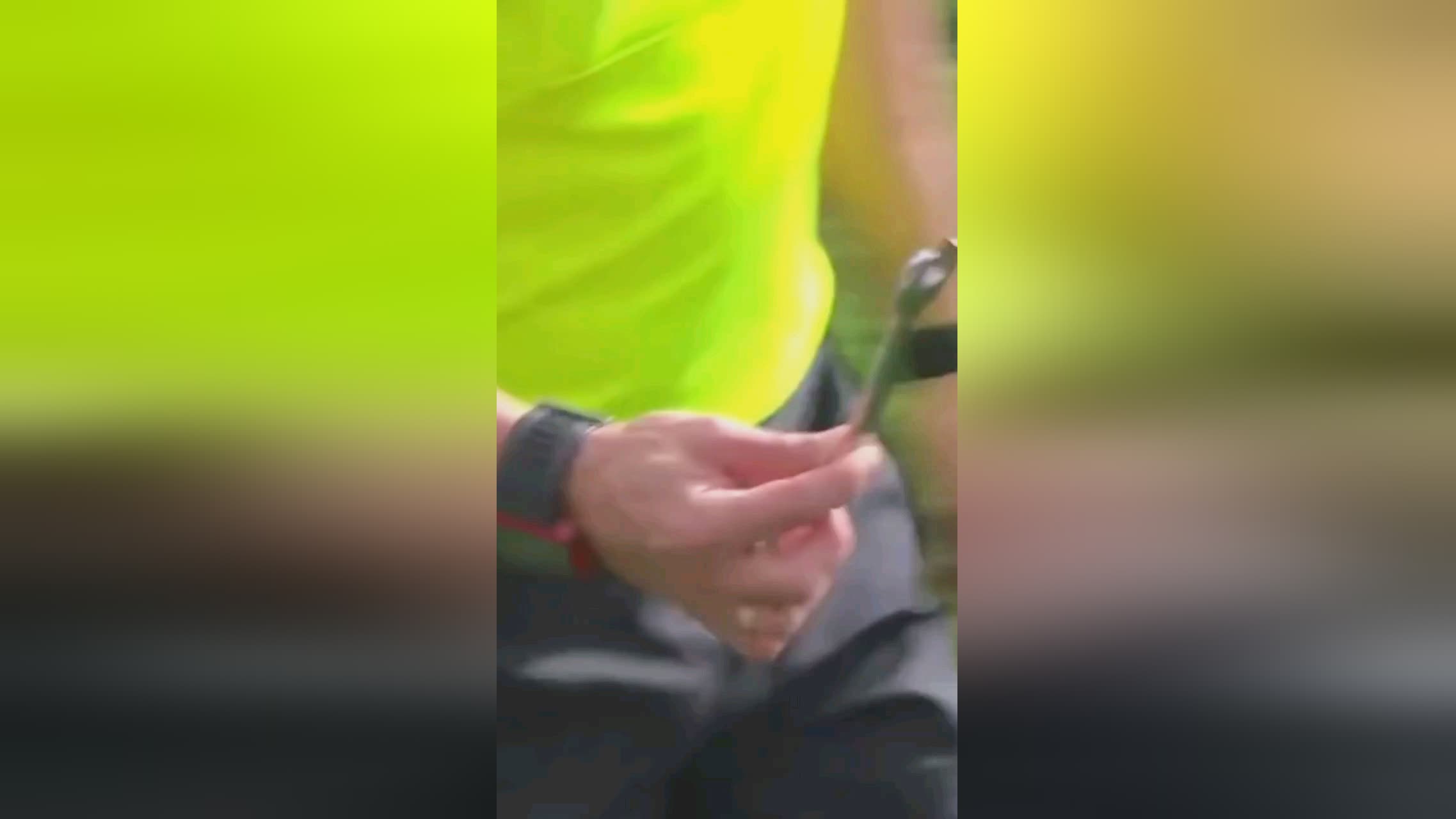 使他們既能